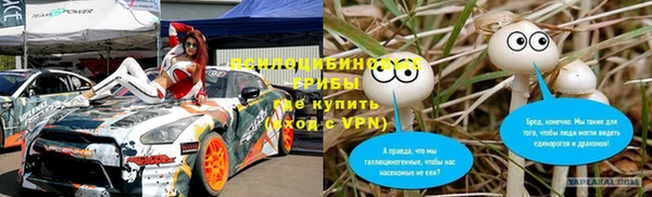 дмт Магас