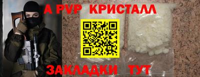 крисы Новокубанск