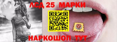 гашик Новозыбков