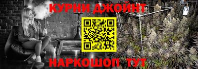 гашик Новозыбков