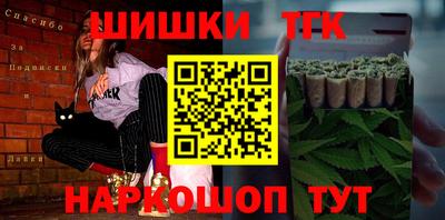 крисы Новокубанск