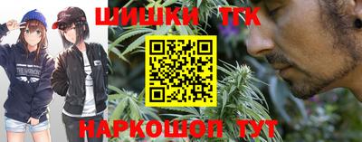 гашик Новозыбков
