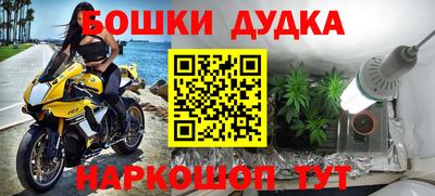 крисы Новокубанск