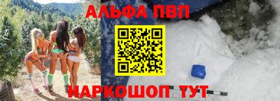 гашик Новозыбков