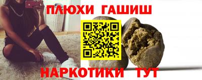 гашик Новозыбков