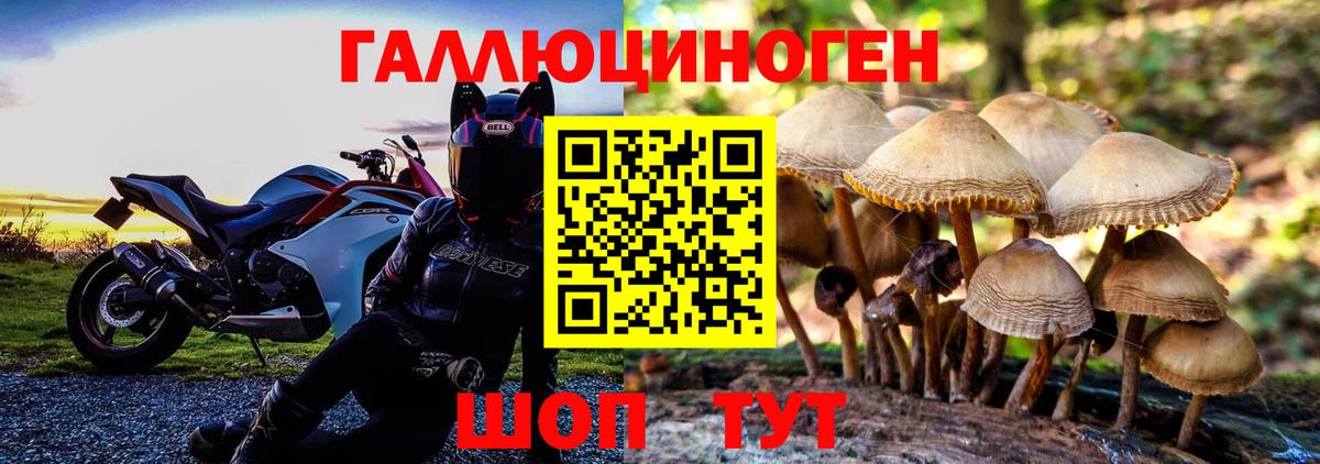 Псилоцибиновые грибы ЛСД  Вход с VPN  наркотики  Галлюциногенные грибы мицелий  Тында 