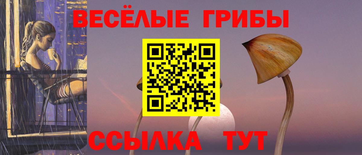 Псилоцибиновые грибы MAGIC MUSHROOMS Тында